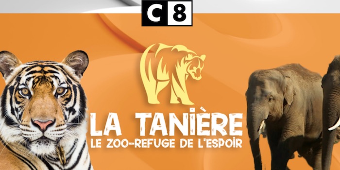 « La Tanière : le zoo-refuge de l’espoir » « La Tanière : le zoo-refuge de l’espoir »