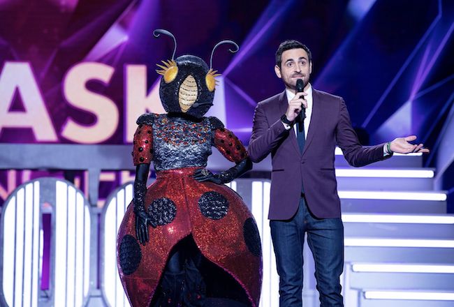 « Mask Singer » : qui se cache derrière la coccinelle ? « Mask Singer » : qui se cache derrière la coccinelle ?