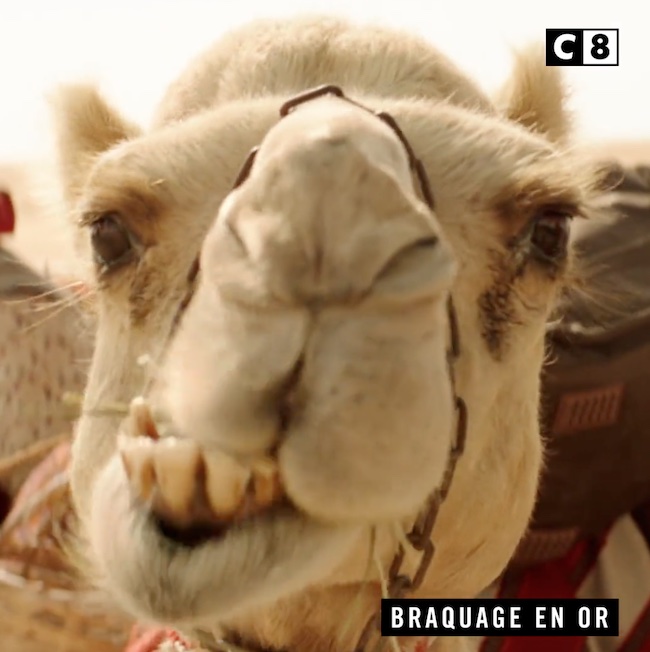 « Braquage en or » « Braquage en or »