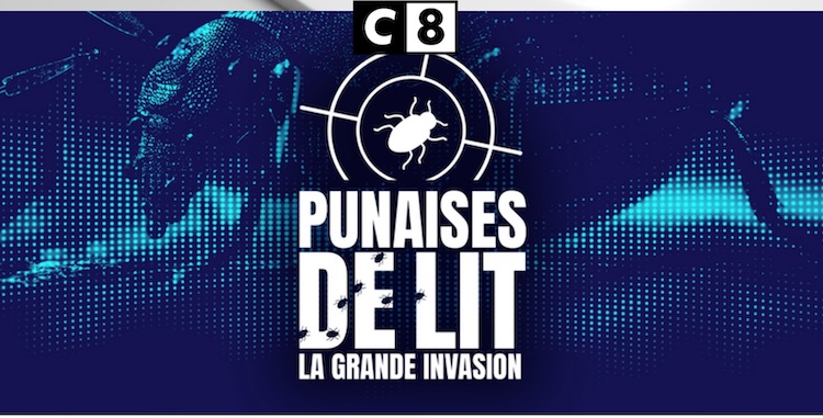 "Punaises de lit : la grande invasion" : 