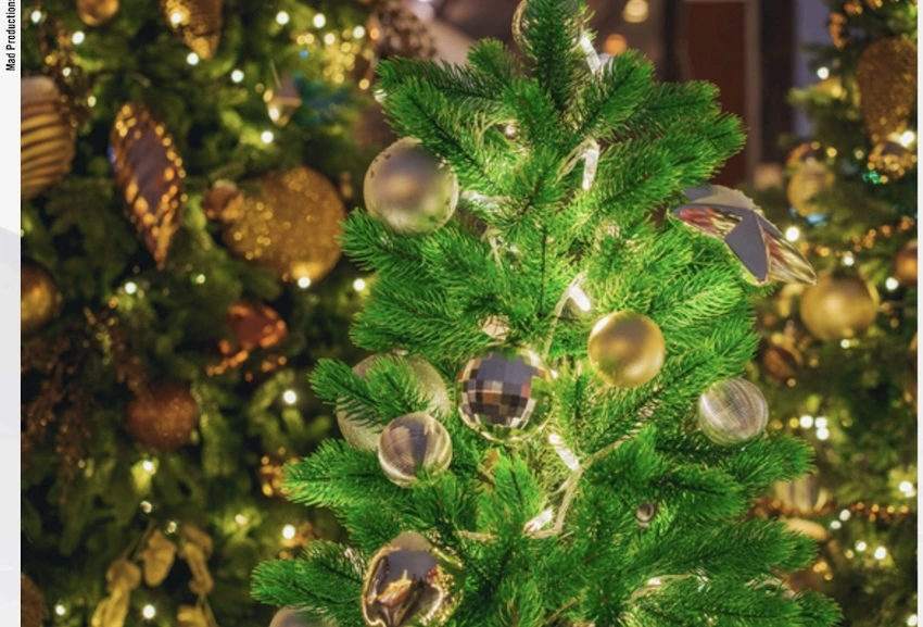 « La belle histoire de Noël »
