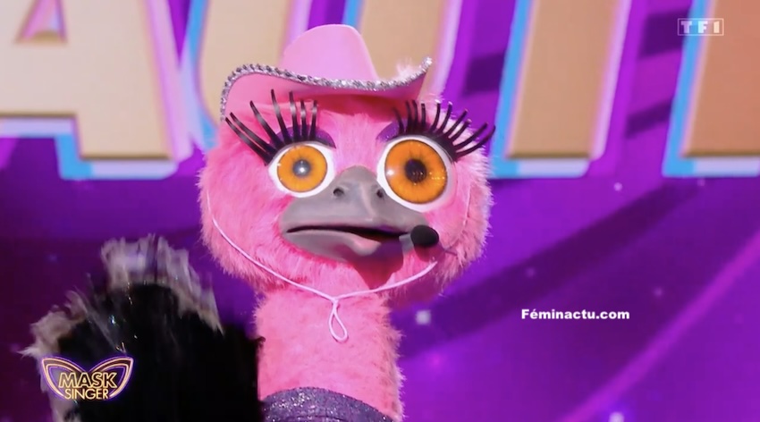 « Mask Singer »: qui se cache derrière l'Autruche ?